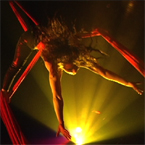 aerial silk